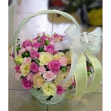 Nhạc Pháp Lời Việt Hay Nhất