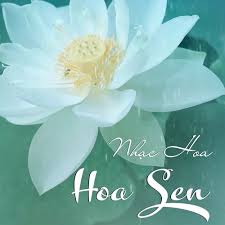 Những bản Nhạc EDM Nhẹ Nhàng