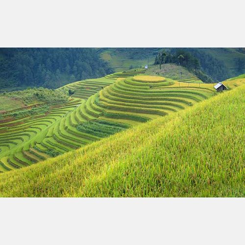 Phai Dấu Cuộc Tình